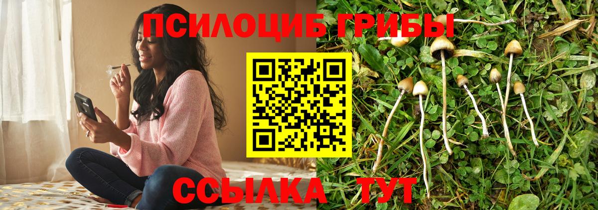 Псилоцибиновые грибы мухоморы  Галлюциногенные грибы Magic Shrooms  Красноармейск  Вход с VPN 