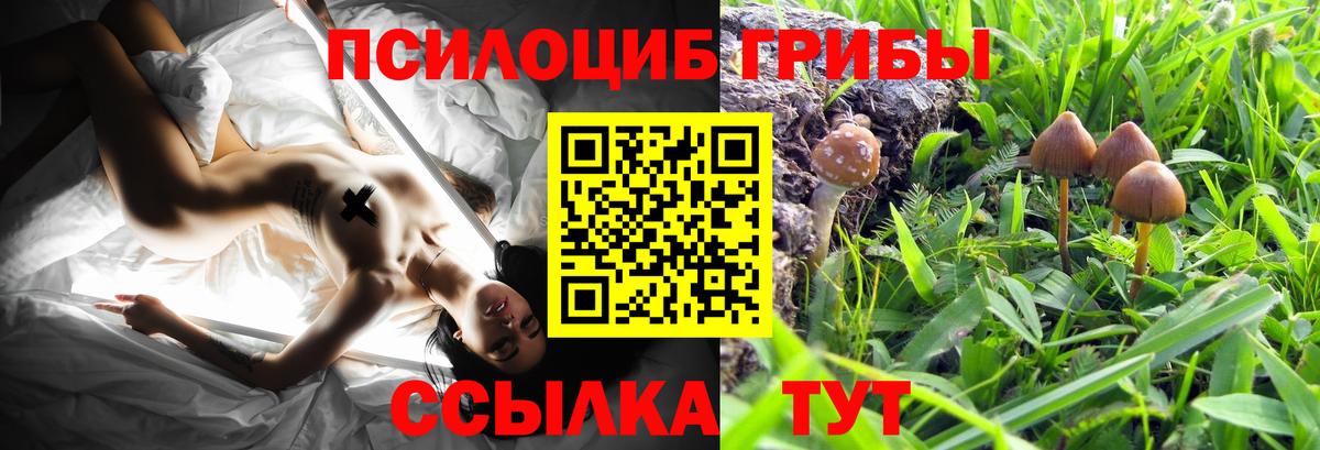 Галлюциногенные грибы мицелий Красноармейск